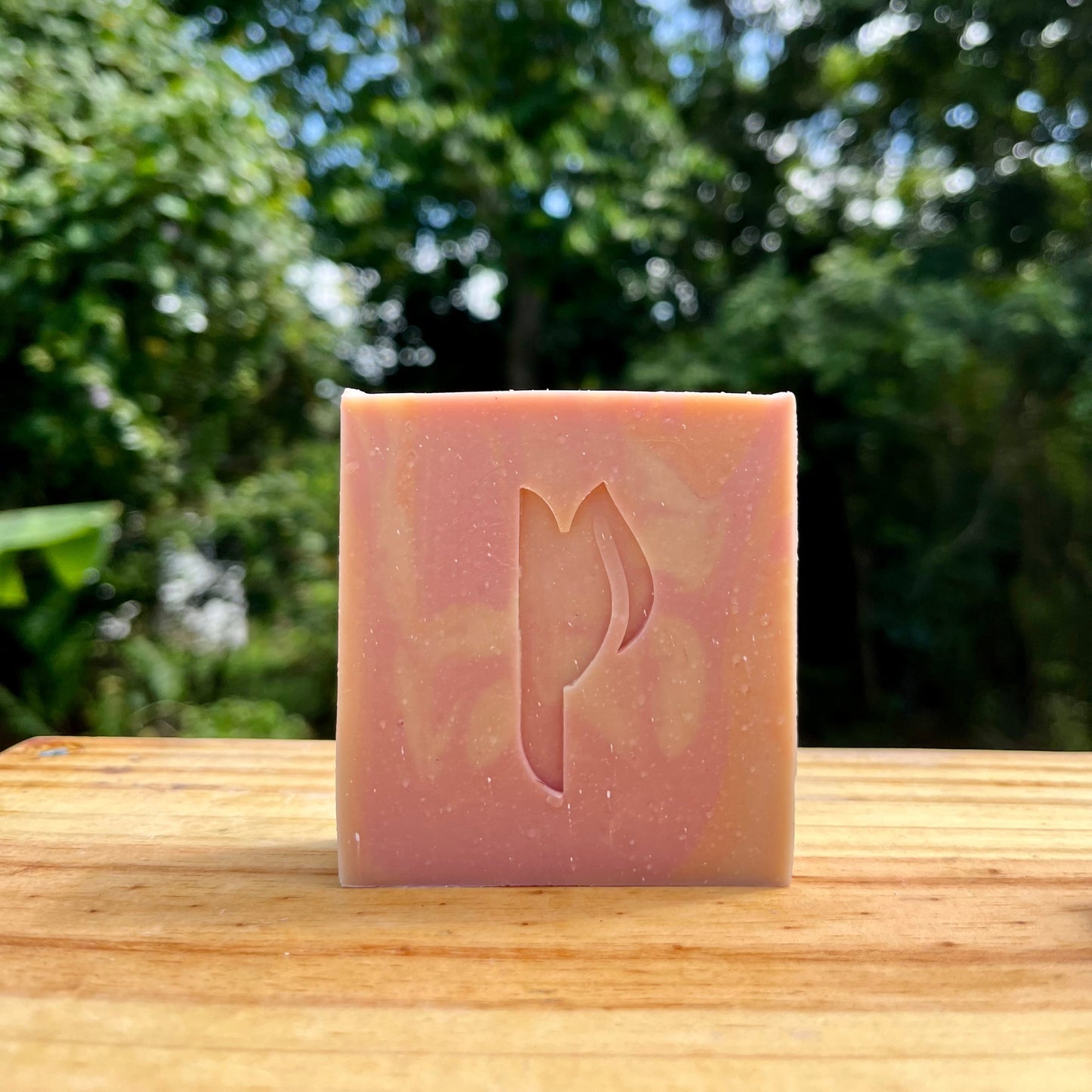 Coco Mango- Jabón Saponificado