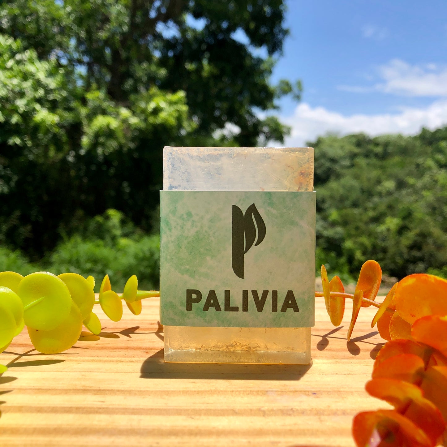 Aloe vera with chamomile