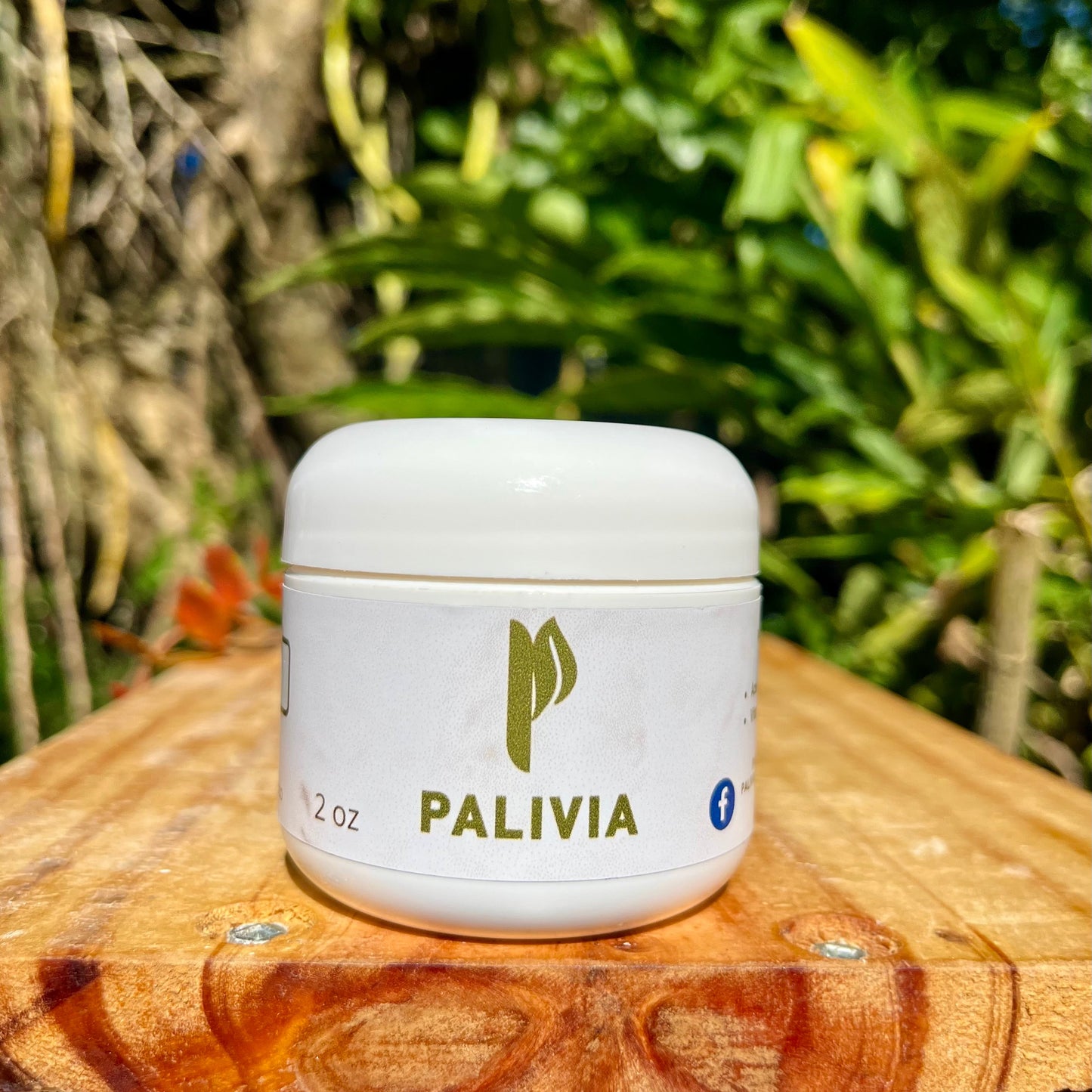 Crema de Coco