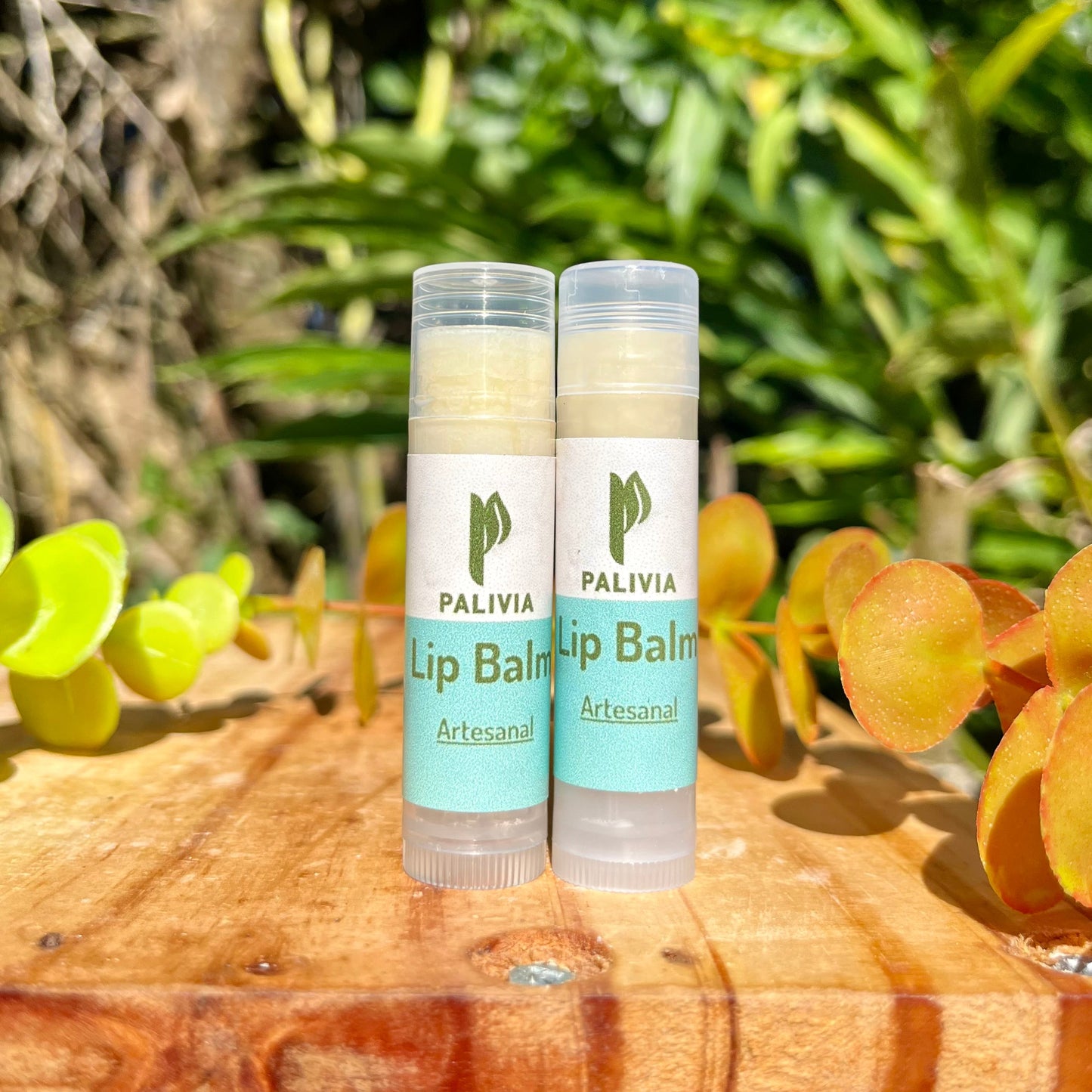 Lip Balm Coconut